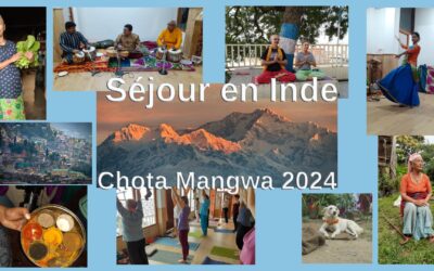 Chota Mangwa, Toussaint 2024 – séjour yoga et culture en Inde